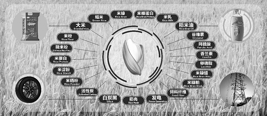 益海嘉里网上路演成功举行 金龙鱼持续拓展产业布局