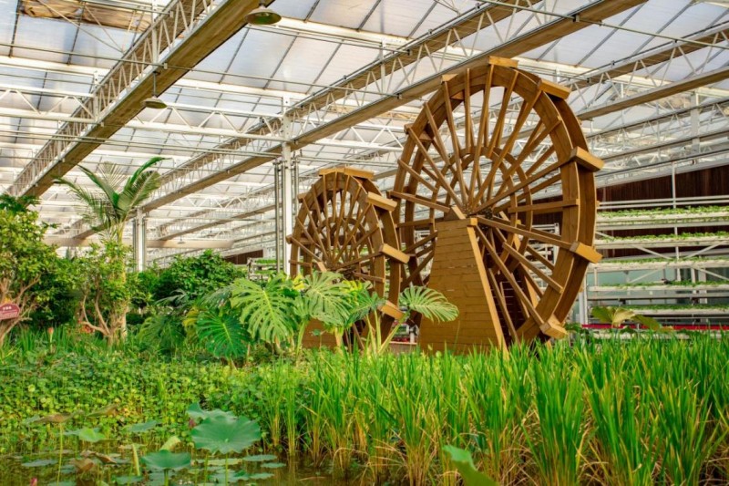 塔元庄同福乡村振兴园解锁春日休闲游新范式