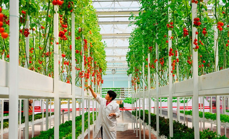 塔元庄同福乡村振兴园解锁春日休闲游新范式