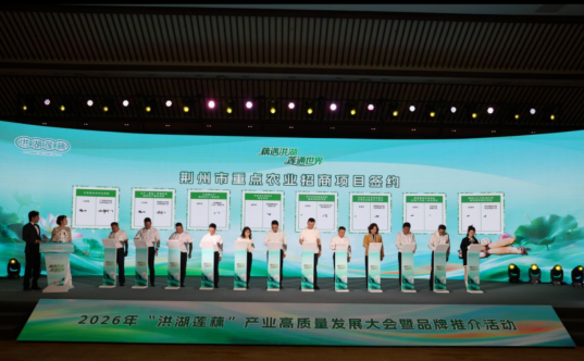 258.61亿！洪湖莲藕拿下全国水生蔬菜“头把交椅”，海底捞都为它开锅了